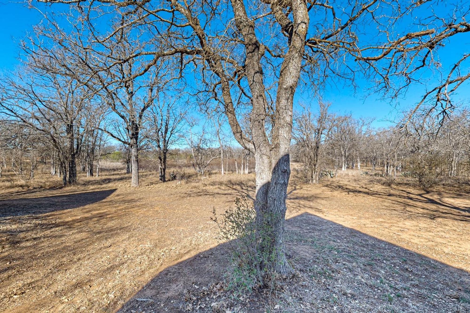 Messina Hof Hill Country Vila Blumenthal Quarto foto